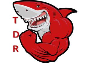 TDR logo