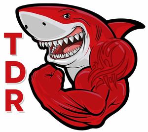 TDR logo